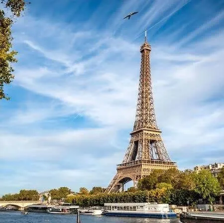 Apartment Proche Tour Eiffel - 15 -2p *